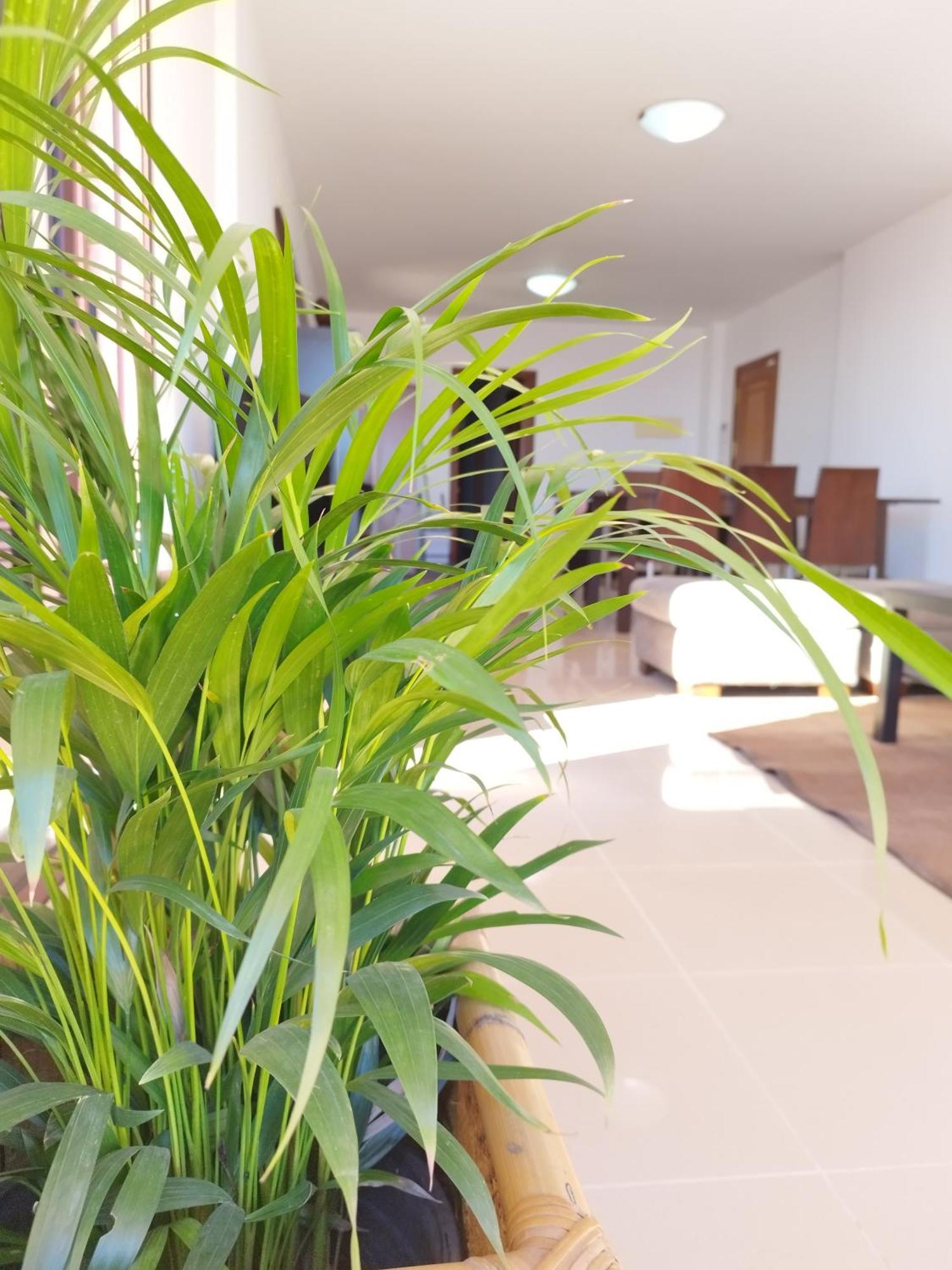 Bed and breakfast Vivienda Vacacional Compartida Radazul Extérieur photo